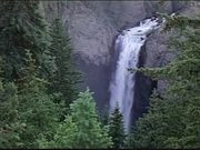 View of Waterfall and Elk in the Woods