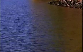Waves Splashing Wooden Pier - Fun - VIDEOTIME.COM