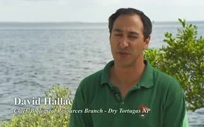 Dry Tortugas National Park - Fun - VIDEOTIME.COM