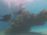 Tropical Scuba Diving