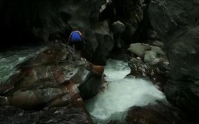 Woman Walking in Nature - Fun - VIDEOTIME.COM