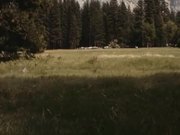 Yosemite Sprint 2014