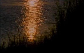 Sea Waves at Sunset - Fun - VIDEOTIME.COM