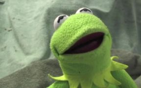 Kermit has a Meltdown - Fun - VIDEOTIME.COM