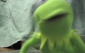 Kermit has a Meltdown - Fun - VIDEOTIME.COM