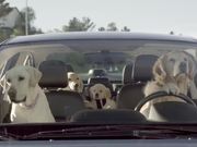 Subaru Campaign: Dog Tested