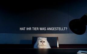 VHV Pet Insurance Campaign: Cat - Commercials - VIDEOTIME.COM