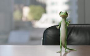 M&M’s: Ms. Brown Goes to Geico For an Insurance - Commercials - VIDEOTIME.COM