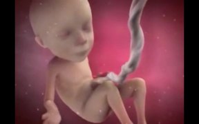 Baby Center - Anims - VIDEOTIME.COM