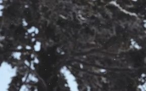 Snowboarding Journey - Sports - VIDEOTIME.COM