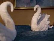 Citizen M Hotels Commercial: Swan Dance