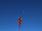Flying Kite Royalty Free HD Stock Video