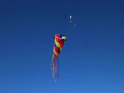 Flying Kite Royalty Free HD Stock Video