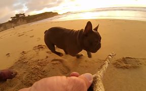 GoPro Campaign: Chicken The Dog - Commercials - Videotime.com