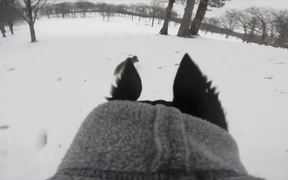 GoPro Campaign: Doberman Chases A Squirrel - Commercials - VIDEOTIME.COM
