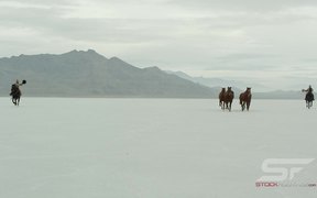 Horses Running Across Salt Flats in Ultra HD - Animals - VIDEOTIME.COM