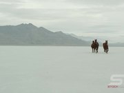 Horses Running Across Salt Flats in Ultra HD