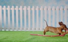 Pedigree Commercial: Share for Dogs - Commercials - VIDEOTIME.COM