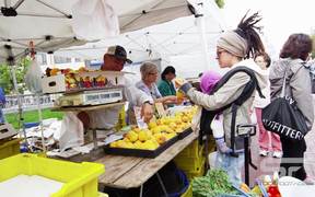 Buying Fruit at an Open Market in Slow Motion - Commercials - VIDEOTIME.COM