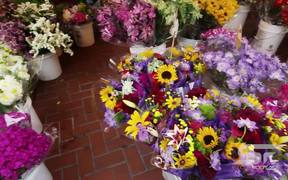 San Francisco Flower Market - Commercials - VIDEOTIME.COM