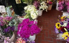 San Francisco Flower Market - Commercials - VIDEOTIME.COM