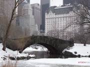 Panorama from Central Park in Slow Motion