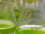 Microalgae-to-Biofuel Technology B-Roll