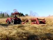 Switchgrass Biomass Feedstock B-Roll