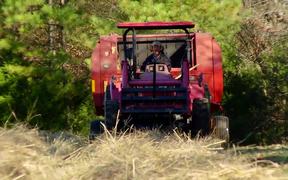 Switchgrass Biomass Feedstock B-Roll - Tech - VIDEOTIME.COM