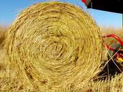 Switchgrass Biomass Feedstock B-Roll