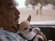 T-Mobile Commercial: José’s Wi-Fi Dogs