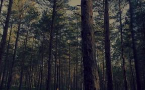 Preem Commercial: The Gasoline of the Future