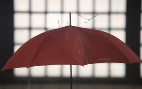 Samsonite Campaign: Weather Forecast - Commercials - VIDEOTIME.COM