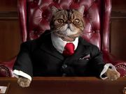 Affinity: Don't Give Your Money To A Fat Cat - Commercials - Y8.COM