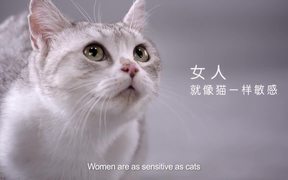 Kotex Commercial: Cat Pad - Commercials - VIDEOTIME.COM