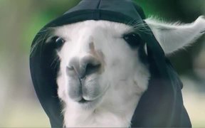 Ergon Energy: Grim Llama Fallen Powerlines - Commercials - VIDEOTIME.COM