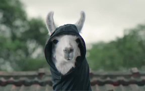 Ergon Energy: Grim Llama Tree trimming - Commercials - VIDEOTIME.COM