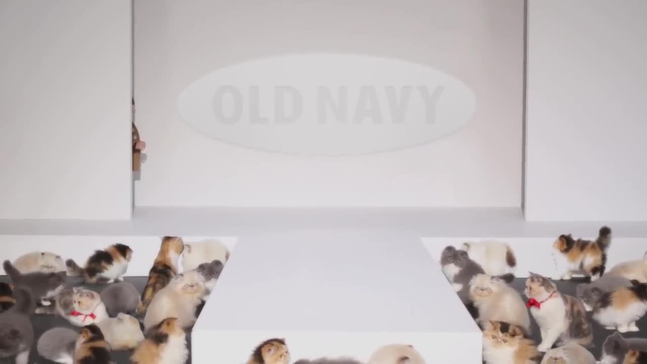 Old Navy Commercial: Kids on the Kittywalk