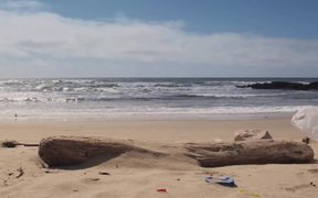 California Coastal: Coastal Cleanup Day - Commercials - VIDEOTIME.COM