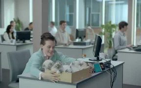 Instant Kiwi Campaign: Kittens - Commercials - VIDEOTIME.COM