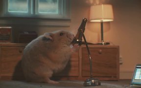 SpareBank 1 Commercial: MC Hamster - Commercials - VIDEOTIME.COM