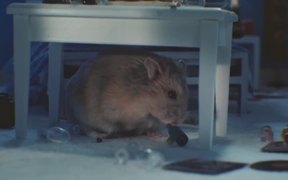 SpareBank 1 Commercial: MC Hamster - Commercials - VIDEOTIME.COM