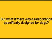 Pedigree Commercial: Radio for Dogs