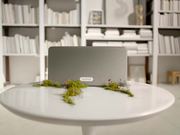Sonos Campaign: Forest