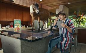 Lenovo Campaign: Ashton Kutcher and a Goat - Commercials - VIDEOTIME.COM