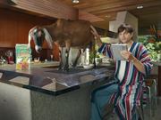 Lenovo Campaign: Ashton Kutcher and a Goat