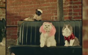 The Ten Movement Scooter Neutered Cat - Commercials - VIDEOTIME.COM