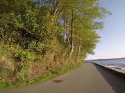 An Afternoon Stroll at Stanley Park with Go Pro
