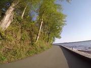 An Afternoon Stroll at Stanley Park with Go Pro