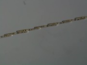 Several Diatoms of the Genus Bacillaria Moving